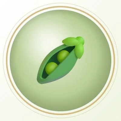 note-cardamom